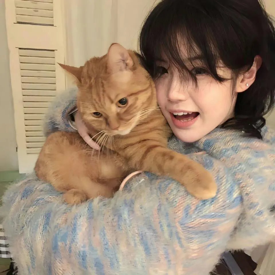 欢迎来到蘑菇屋